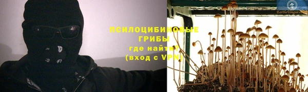 прущая мука Армянск