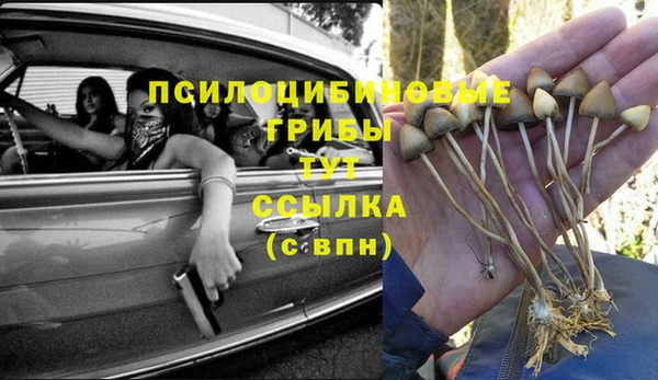 apvp Аркадак