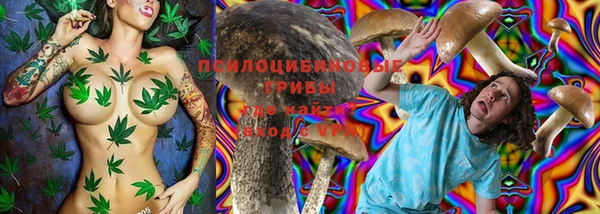apvp Аркадак