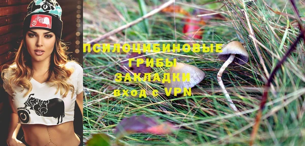 не бодяженный Арсеньев