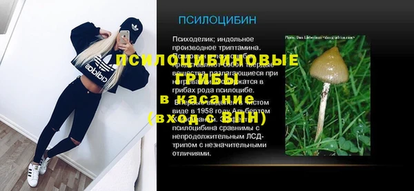 прущая мука Армянск