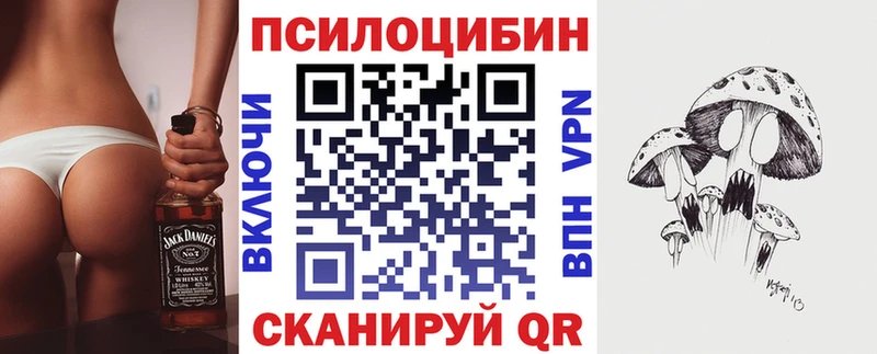магазин продажи наркотиков  площадка формула  Псилоцибиновые грибы Psilocybine cubensis  Дмитров 